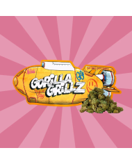 Flores SMALL BUDS SUBMARINE 10Gr. Cbd Gorilla Grillz