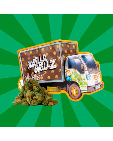 Flores SMALL BUDS TRUCK 25Gr. Cbd Gorilla Grillz Flores SMALL BUDS TRUCK 25Gr. Cbd Gorilla Grillz