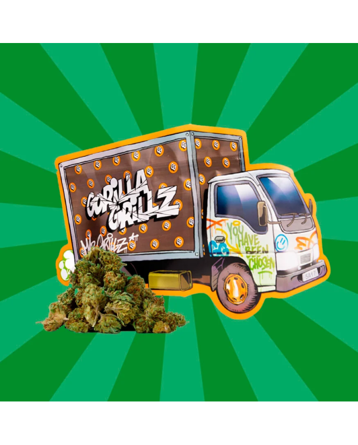 Flores SMALL BUDS TRUCK 25Gr. Cbd Gorilla Grillz