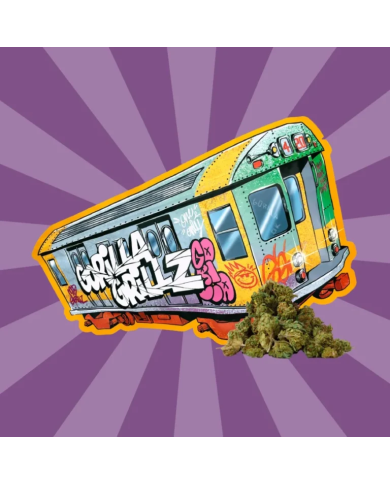 Flores SMALL BUDS TRAIN 50Gr. Cbd Gorilla Grillz Flores SMALL BUDS TRAIN 50Gr. Cbd Gorilla Grillz