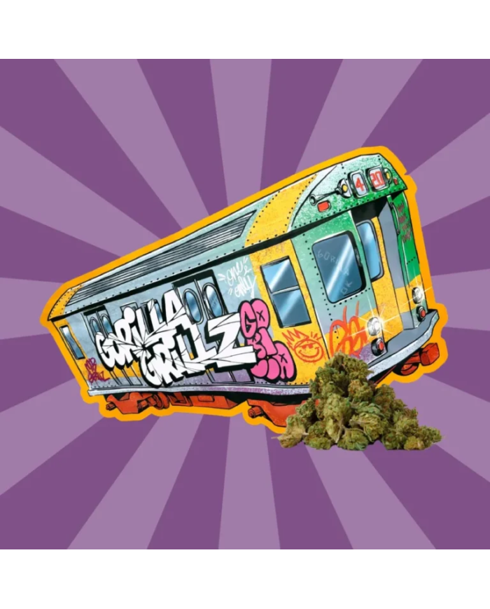 Flores SMALL BUDS TRAIN 50Gr. Cbd Gorilla Grillz