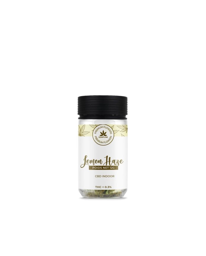 Flores LEMON HAZE 12Gr. Cbd Hempline Flores LEMON HAZE 12Gr. Cbd Hempline