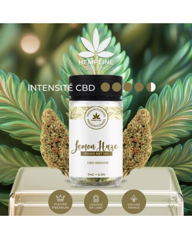 Flores LEMON HAZE 12Gr. Cbd Hempline Flores LEMON HAZE 12Gr. Cbd Hempline