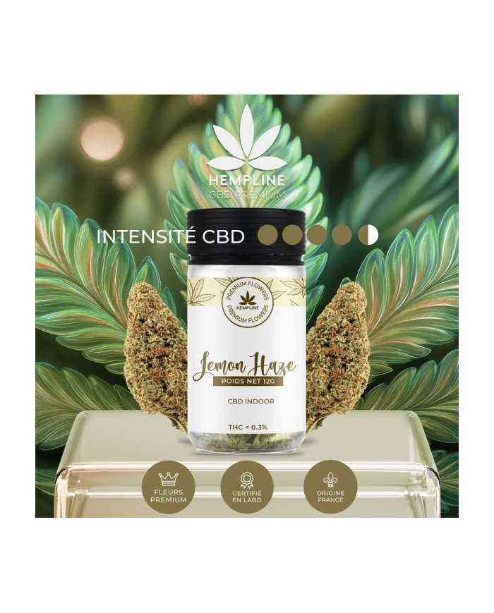 Flores LEMON HAZE 12Gr. Cbd Hempline Flores LEMON HAZE 12Gr. Cbd Hempline