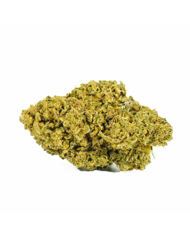 Flores MANGO HAZE Cbd Only Cbd Flores MANGO HAZE Cbd Only Cbd