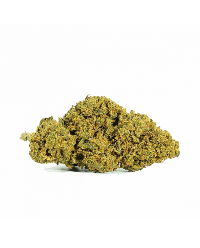 Flores AMNESIA OG Cbd Only Cbd Flores AMNESIA OG Cbd Only Cbd