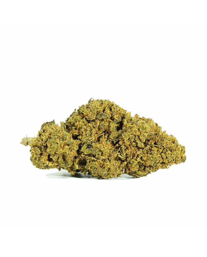 Flores AMNESIA OG Cbd Only Cbd Flores AMNESIA OG Cbd Only Cbd