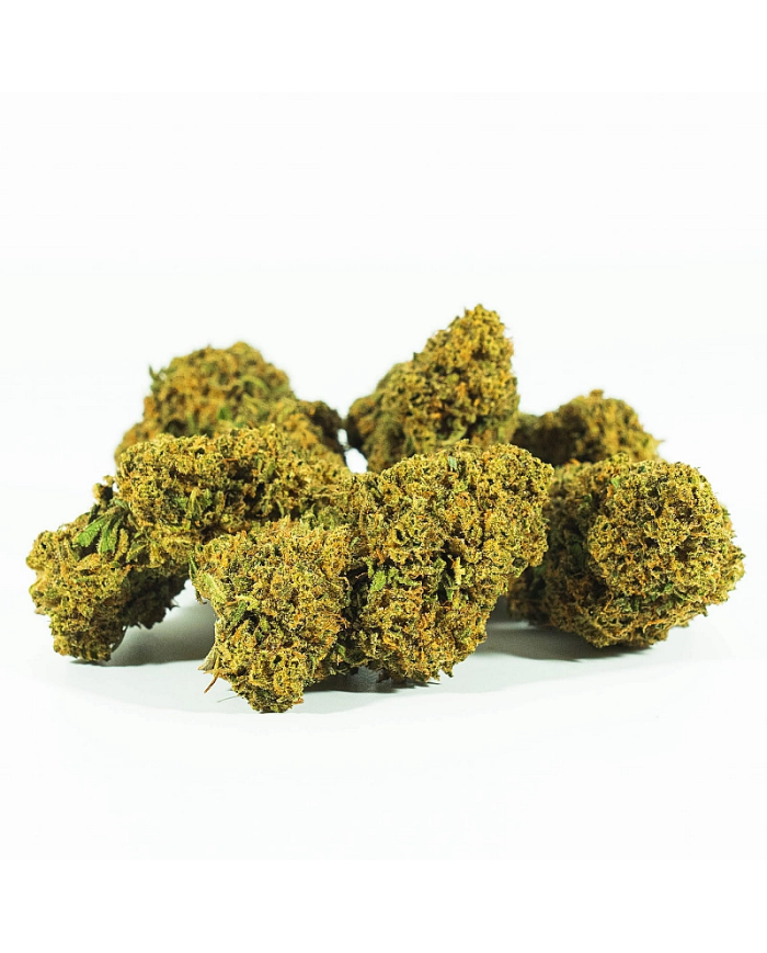 Flores GELATO 33 Cbd Only Cbd Flores GELATO 33 Cbd Only Cbd