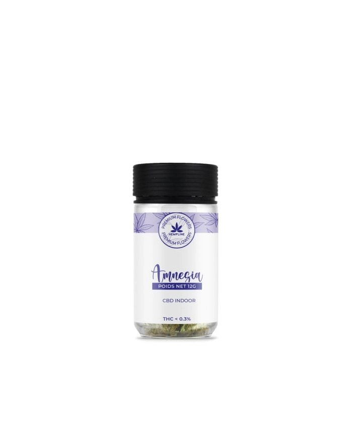 Flores AMNESIA 12Gr. Cbd Hempline Flores AMNESIA 12Gr. Cbd Hempline