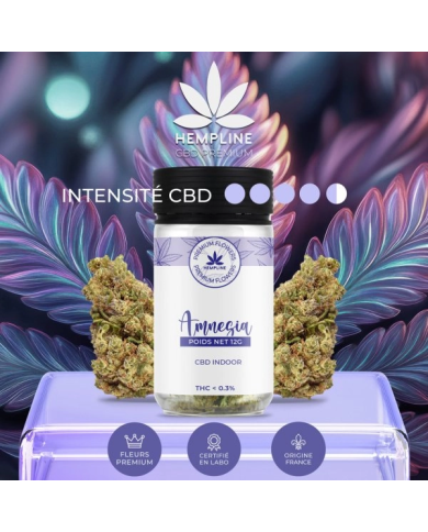 Flores AMNESIA 12Gr. Cbd Hempline Flores AMNESIA 12Gr. Cbd Hempline