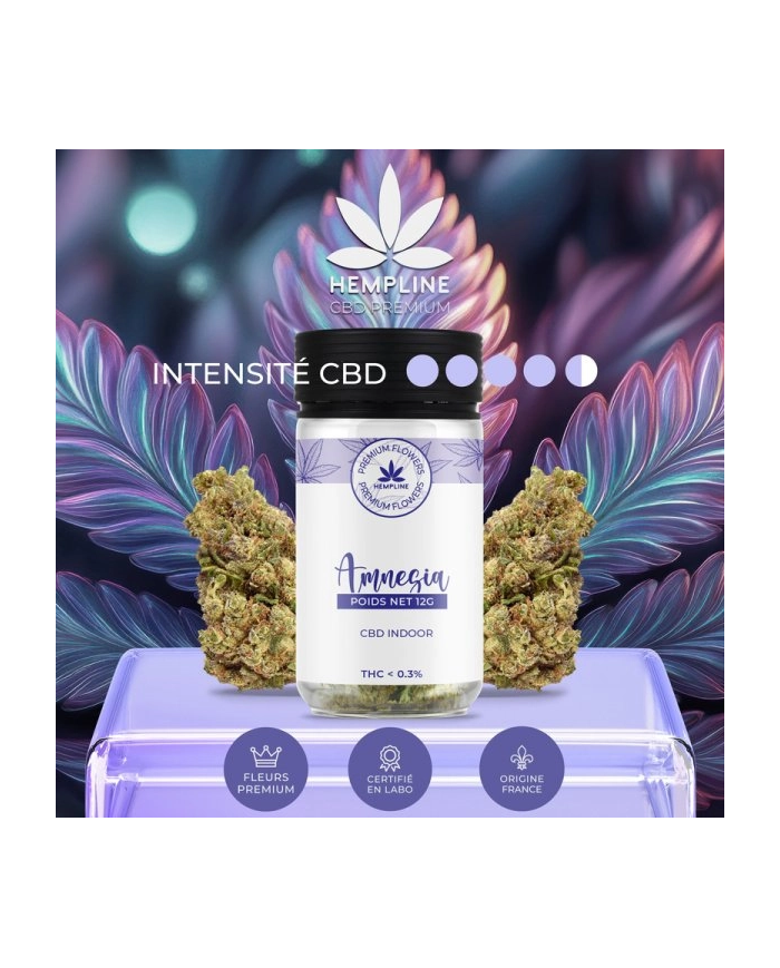 Flores AMNESIA 12Gr. Cbd Hempline Flores AMNESIA 12Gr. Cbd Hempline