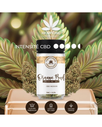 Flores ORANGE BUDS 12Gr. Cbd Hempline