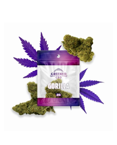 Flores GORILLA 2Gr. Cbd Greeneo Flores GORILLA 2Gr. Cbd Greeneo