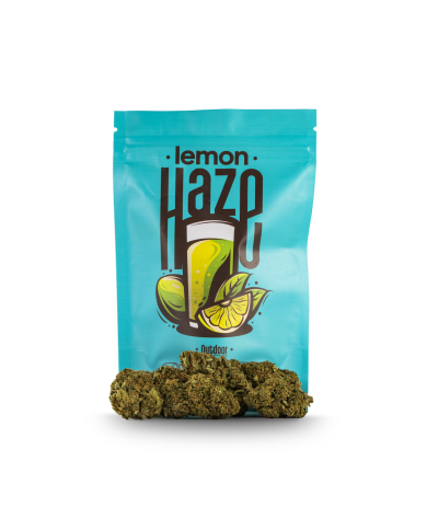Flores LEMON HAZE Cbd Happy Flowers Flores LEMON HAZE Cbd Happy Flowers
