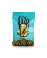 Hash DARK CHOCOLATE Cbd Happy Flowers