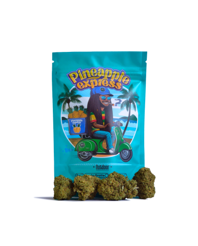 Flores PINEAPPLE EXPRESS Cbd Happy Flowers Flores PINEAPPLE EXPRESS Cbd Happy Flowers