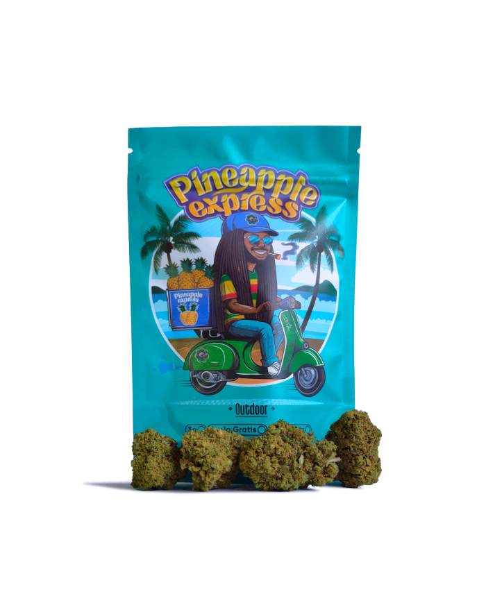 Flores PINEAPPLE EXPRESS Cbd Happy Flowers Flores PINEAPPLE EXPRESS Cbd Happy Flowers