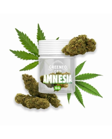 Flores AMNESIA 5Gr. Cbd Greeneo Flores AMNESIA 5Gr. Cbd Greeneo