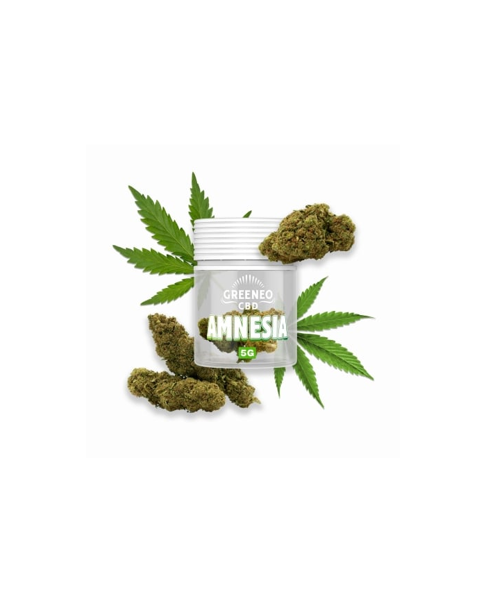 Flores AMNESIA 5Gr. Cbd Greeneo