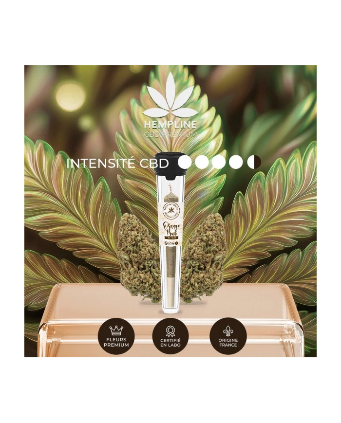 Pre-roll ORANGE BUDS Hempline