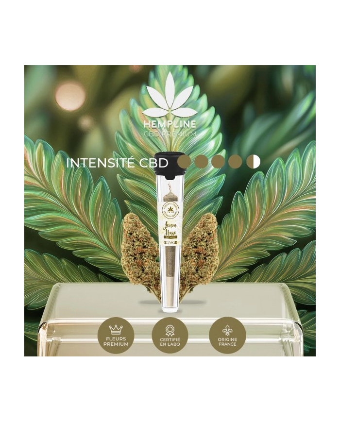 Pre-roll LEMON HAZE Hempline