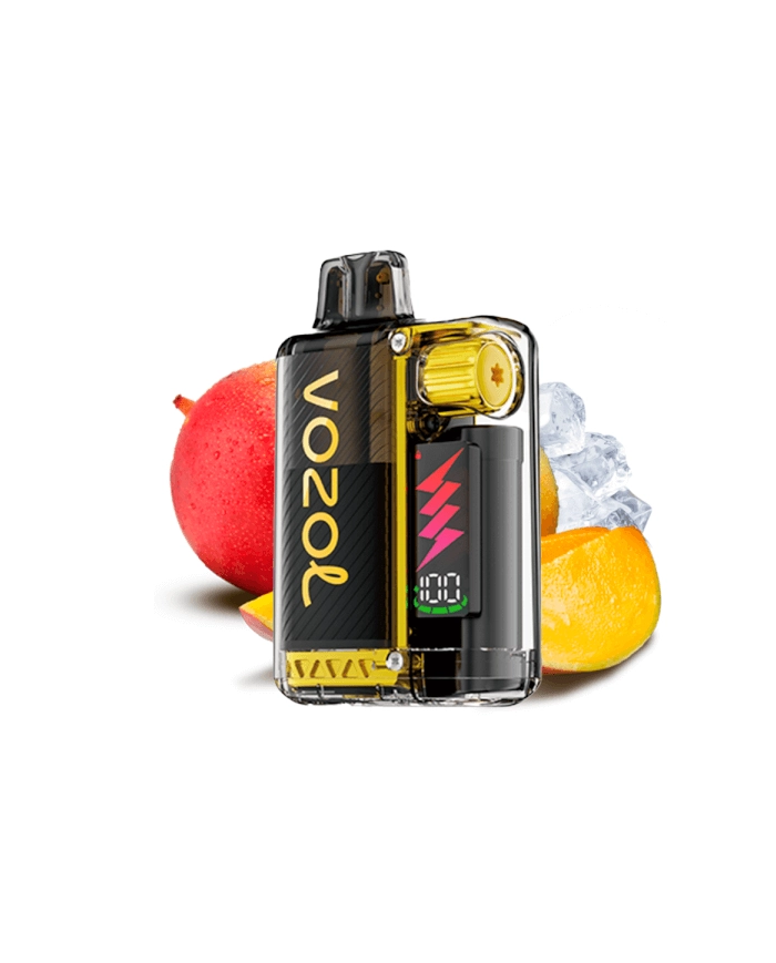 Vozol VISTA PLUG MANGO ICE 2+10 Pod