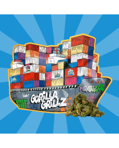 Flores SMALL BUDS CARGO BOAT 100Gr. Cbd Gorilla Grillz Flores SMALL BUDS CARGO BOAT 100Gr. Cbd Gorilla Grillz