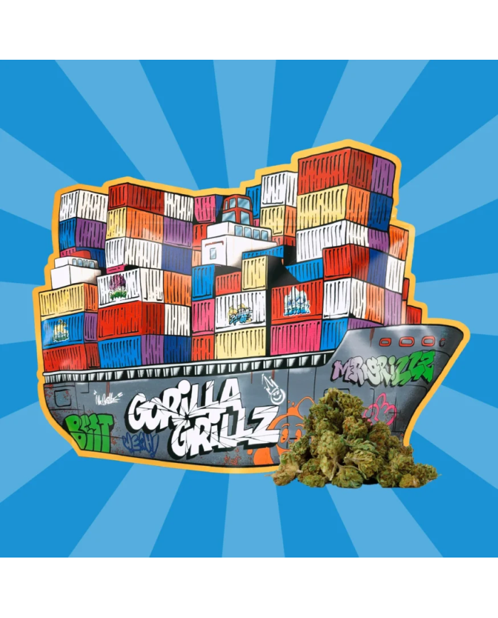 Flores SMALL BUDS CARGO BOAT 100Gr. Cbd Gorilla Grillz