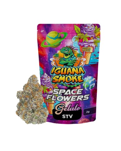 Flores SPACE FLOWERS GELATO Stv Iguana Smoke Flores SPACE FLOWERS GELATO Stv Iguana Smoke