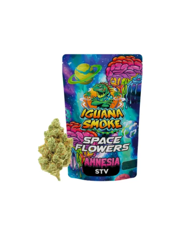 Flores SPACE FLOWERS AMNESIA Stv Iguana Smoke