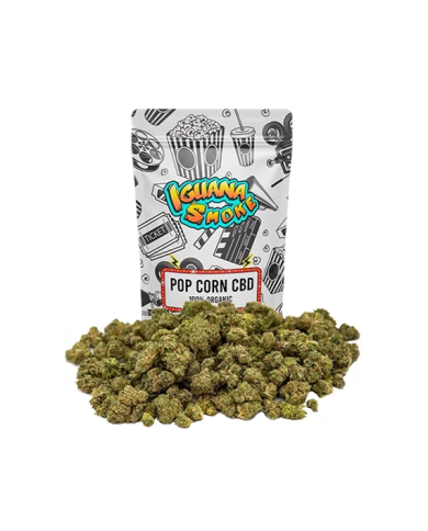 Flores POP CORN SOUR TSUNAMI Cbd Iguana Smoke
