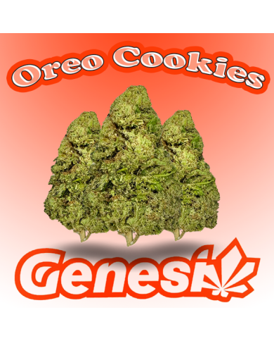 Flores OREO COOKIES Cbd Genesi