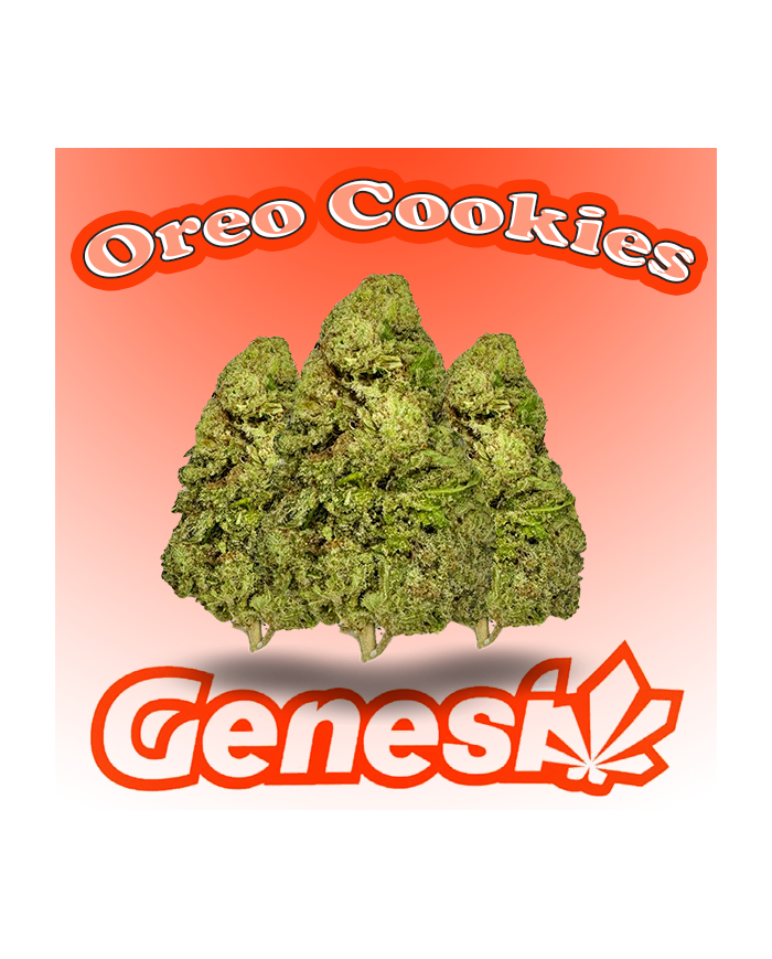 Flores OREO COOKIES Cbd Genesi