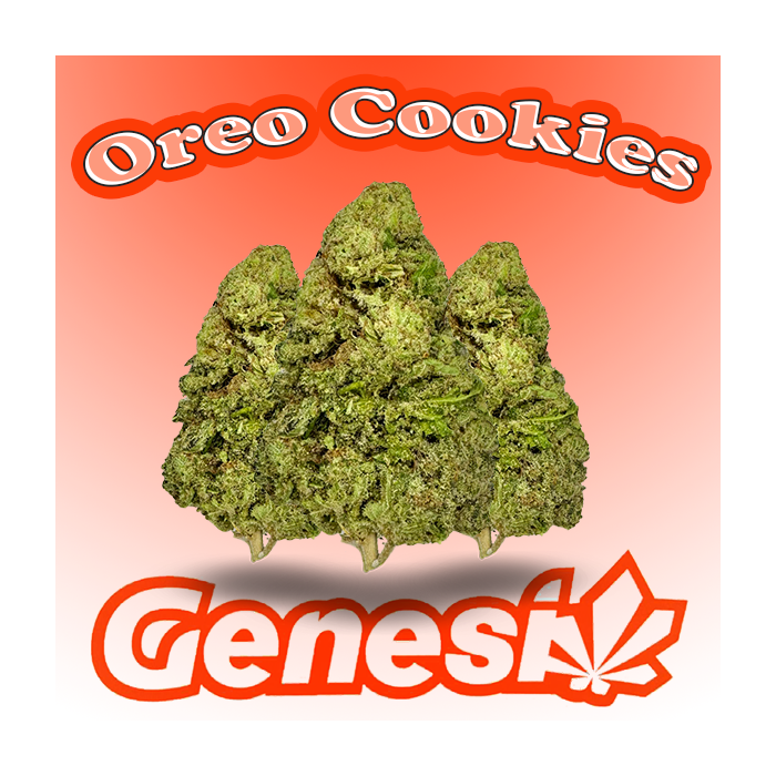 Flores OREO COOKIES Cbd Genesi