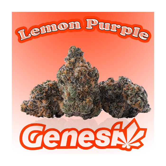 Flores LEMON PURPLE Cbd Genesi