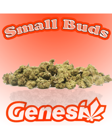 Flores SMALL BUDS INDOOR 10Gr. Cbd Genesi