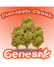 Flores PINEAPPLE CHUNK Cbd Genesi