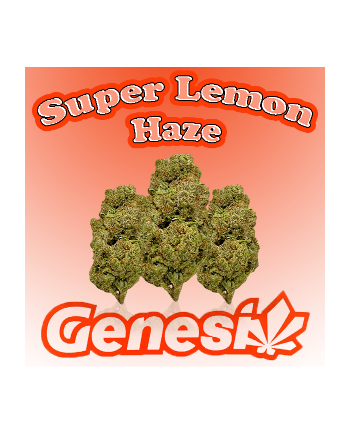 Flores SUPER LEMON HAZE Cbd Genesi