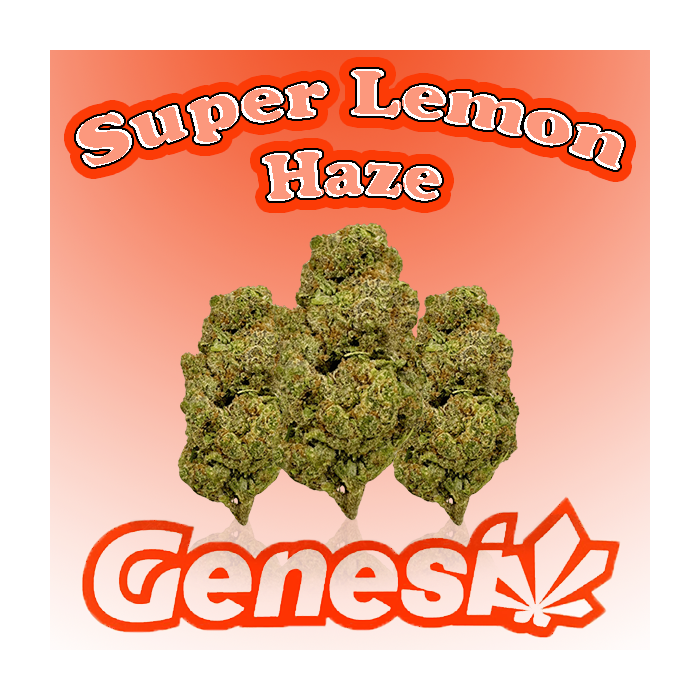 Flores SUPER LEMON HAZE Cbd Genesi